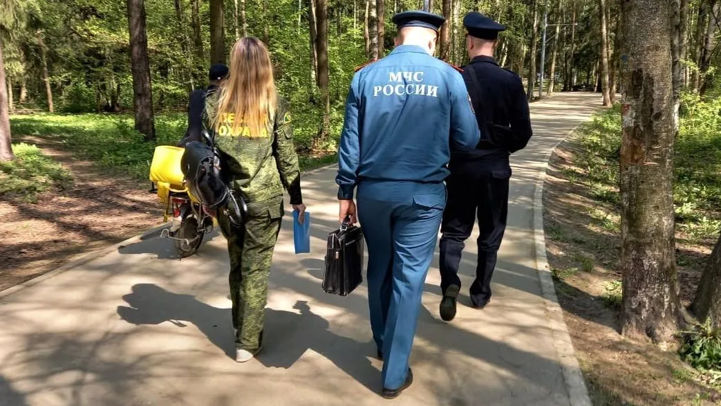 Фото: комитет лесного хозяйства Московской области