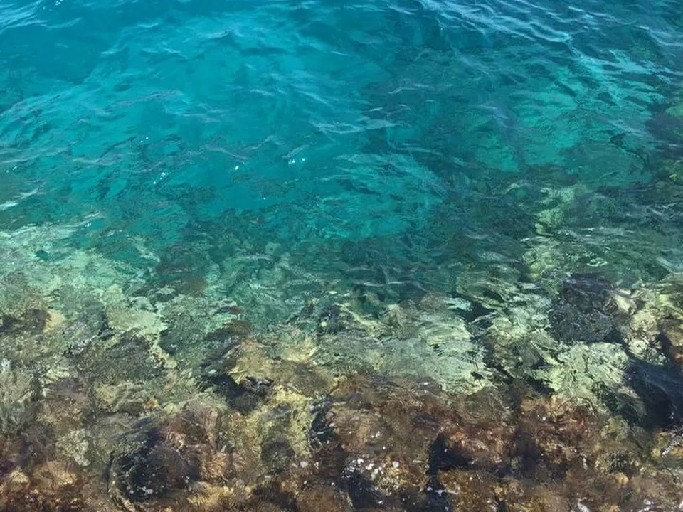 Фото: пресс-служба ГБУЗ МО «ПОКБ»