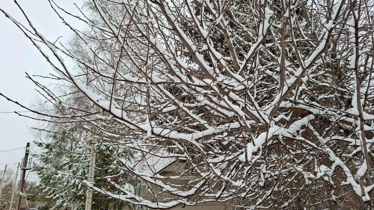 REGIONS/Юлия Габбасова