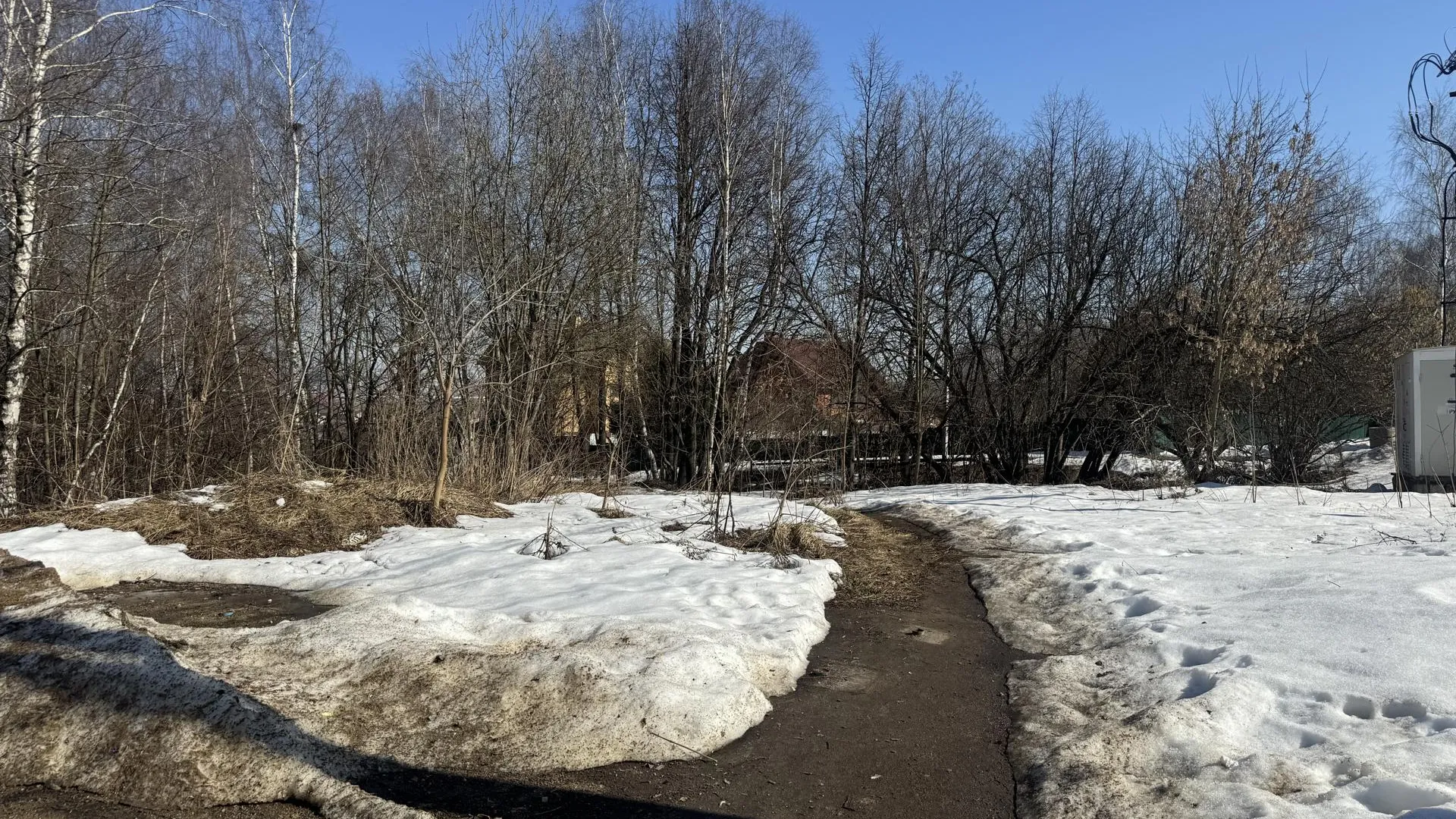 Полина Абраменко