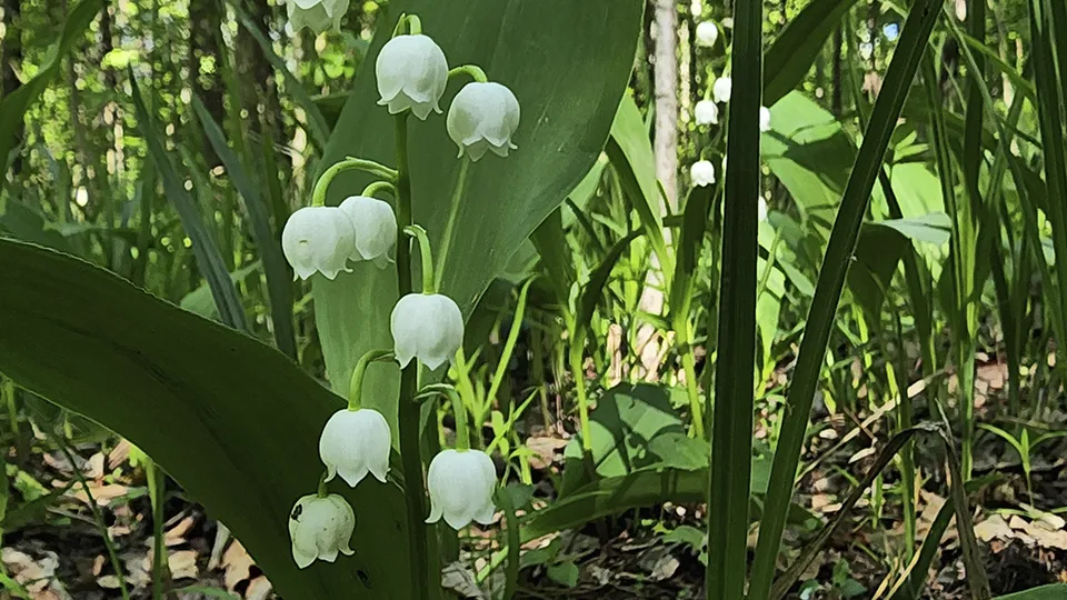 Фото: Андрей Семибратов