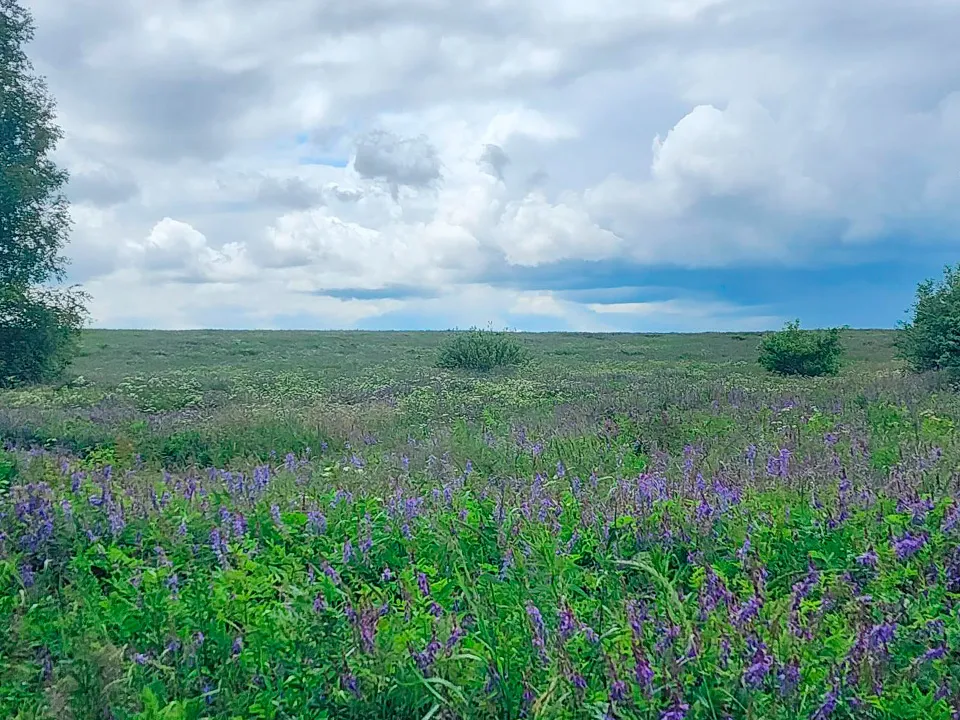 Фото: Валентина Максимова&nbsp;