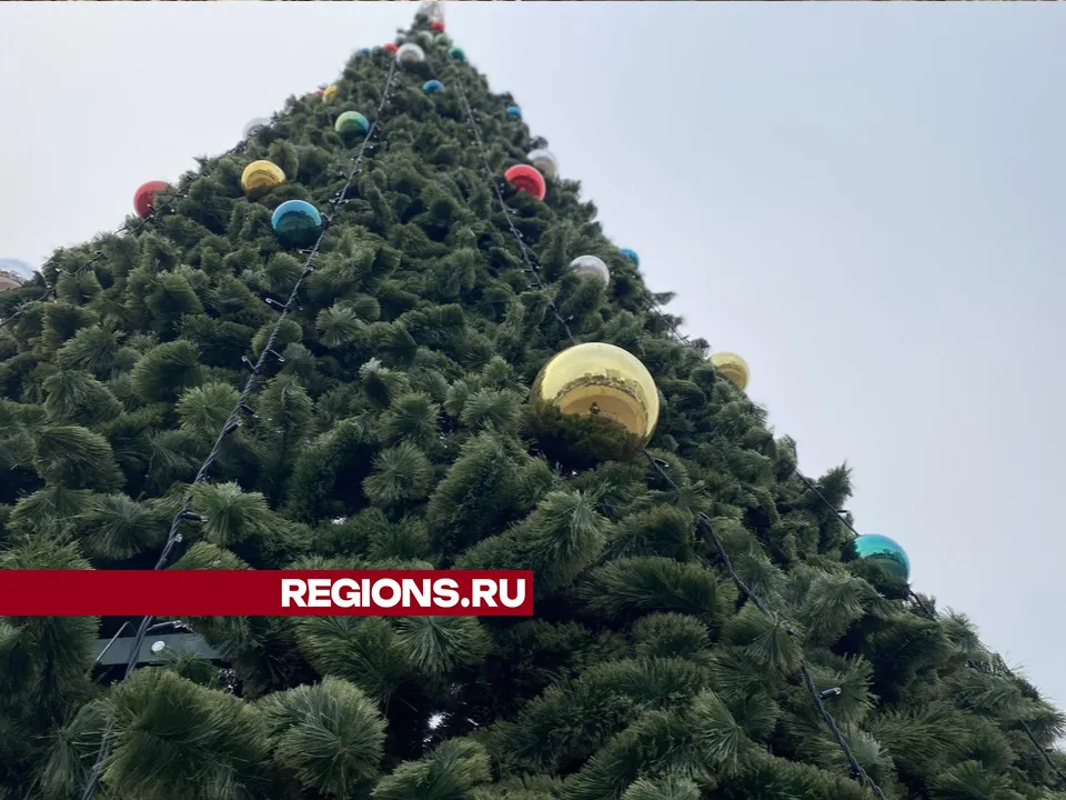 Фото: Мария Шигорева