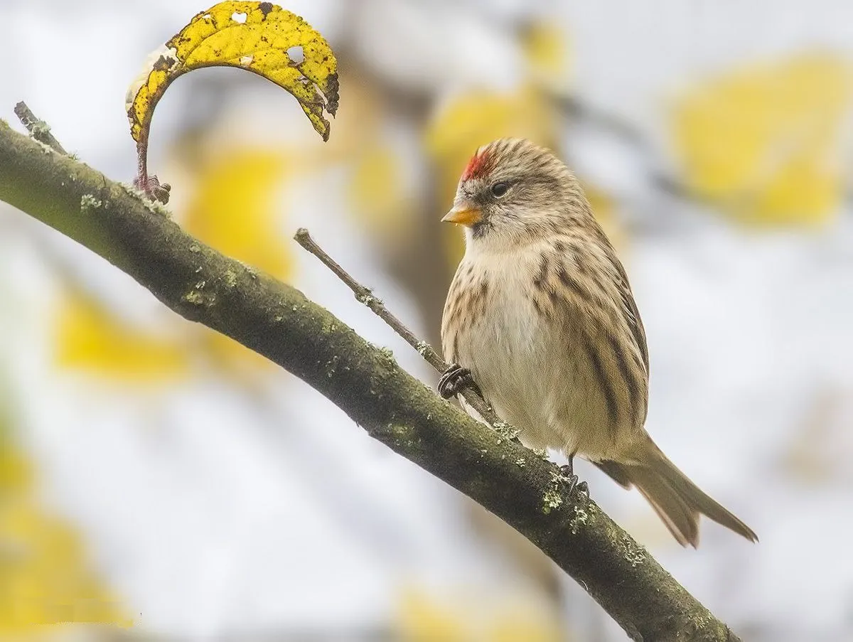 Фото: личный архив Елены Швыдун