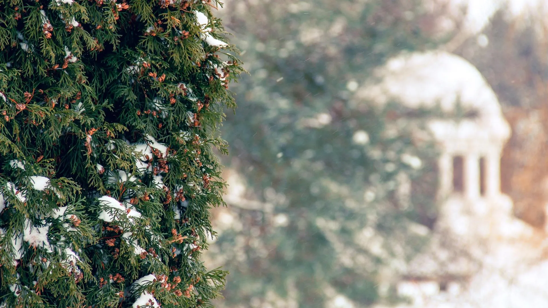 Шаховской Городской парк