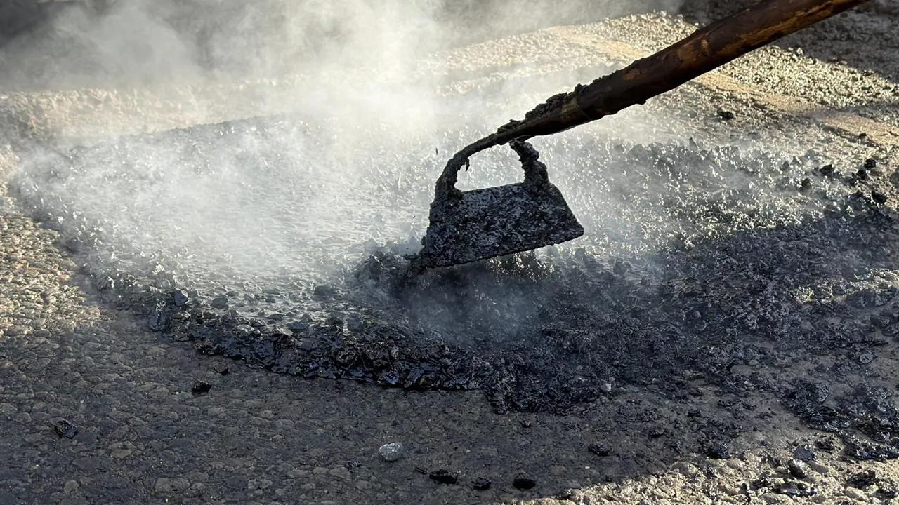 МедиаБанк Подмосковья/Екатерина Данилина