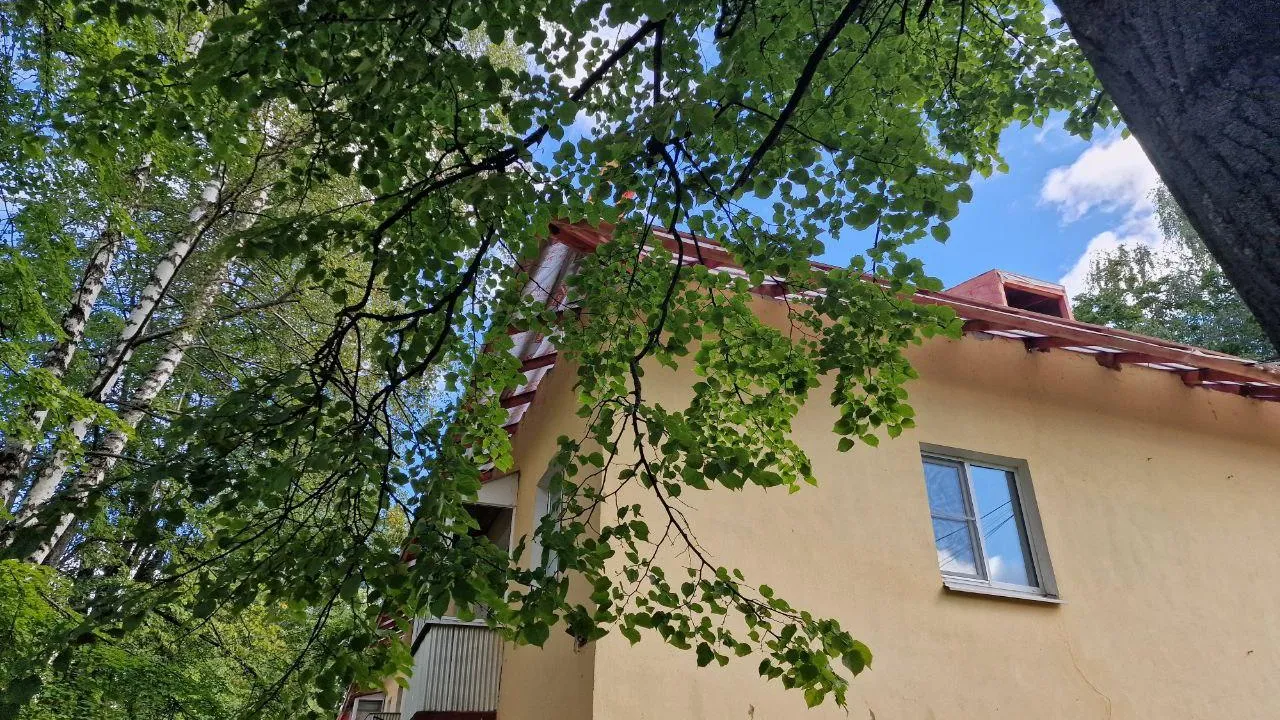 Фото: Анастасия Игнатова