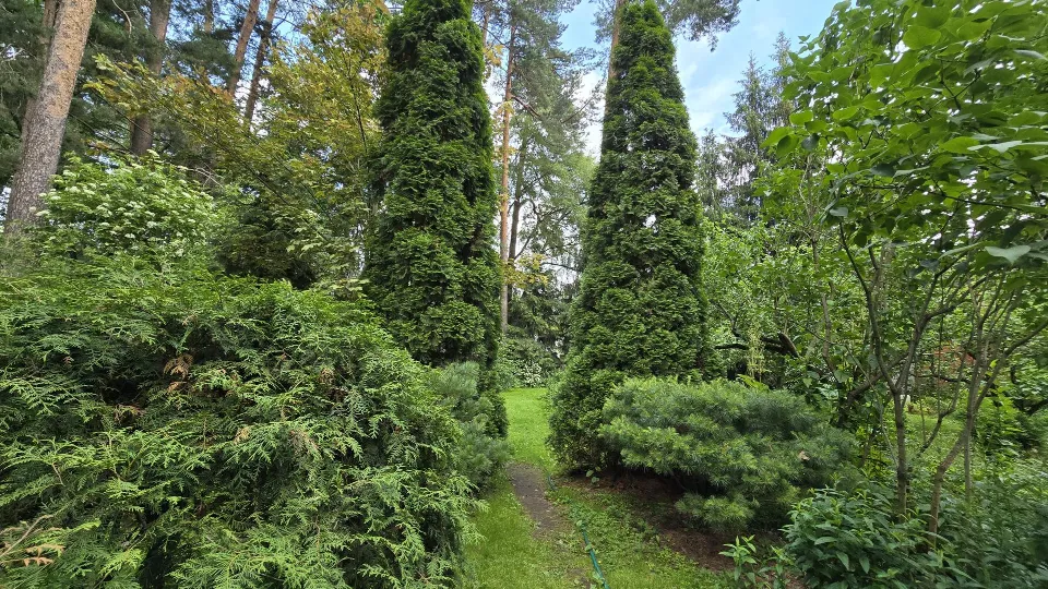 Фото: Марина Анисимова