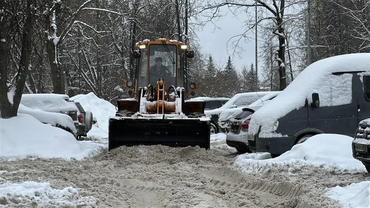 REGIONS/Кристина Тришина