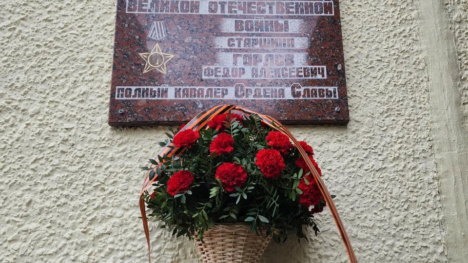 Фото: REGIONS/Артем Мишуков