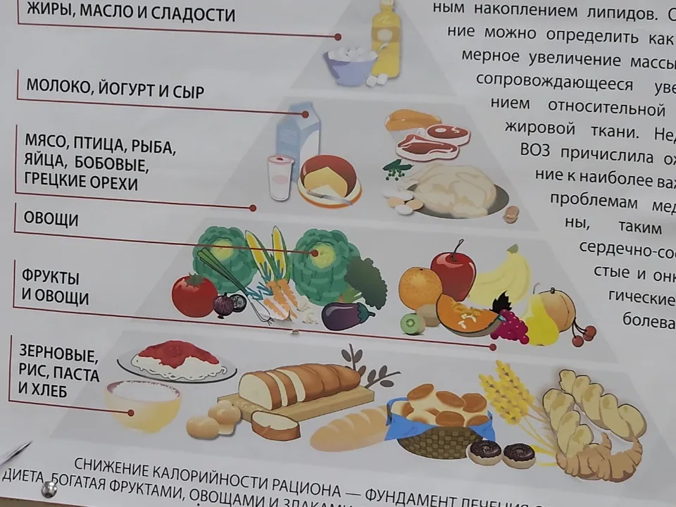 Фото: МедиаБанк Подмосковья/Арина Кузнецова