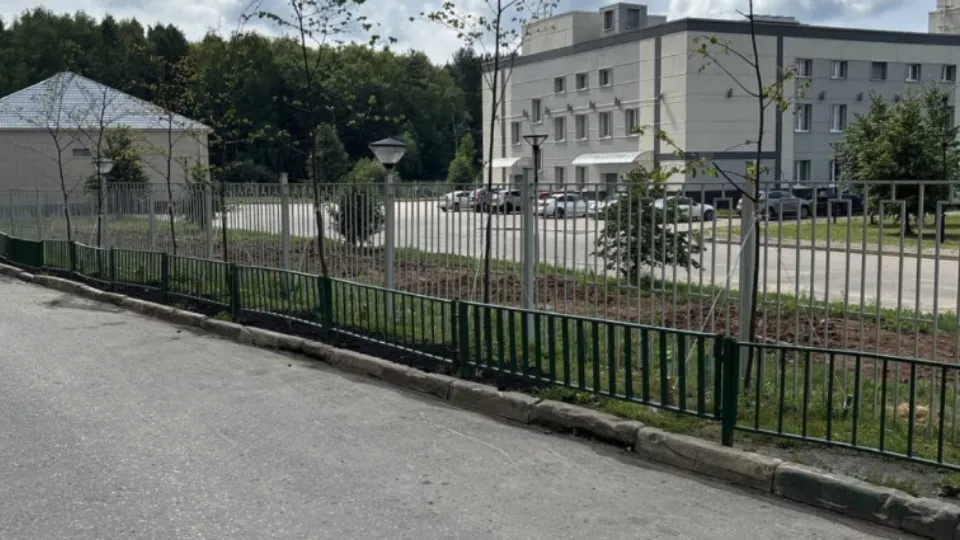 Фото: территориальное управление Звенигород