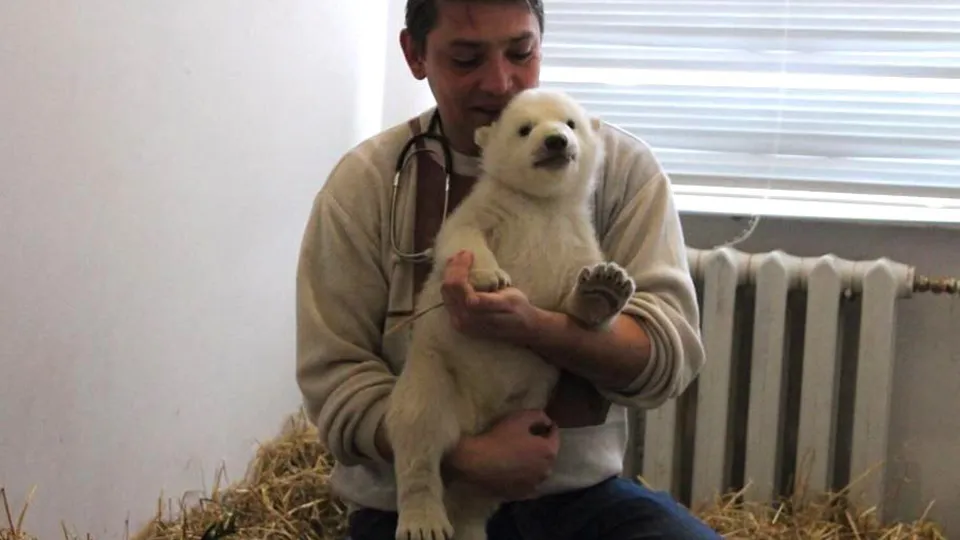 Фото: пресс-служба администрации Волоколамского м.о.