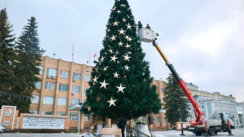 Фото: МАУ «Волок-Медиа»