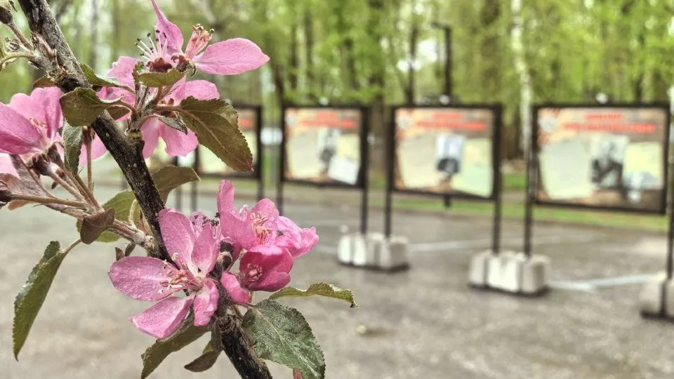 Фото: администрация г.о.Клин