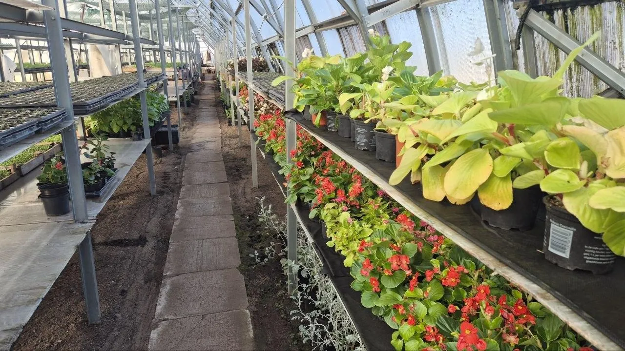 администрация городского округа Дубна