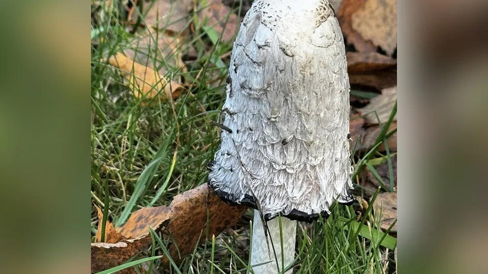 Фото: t.me/prudilive