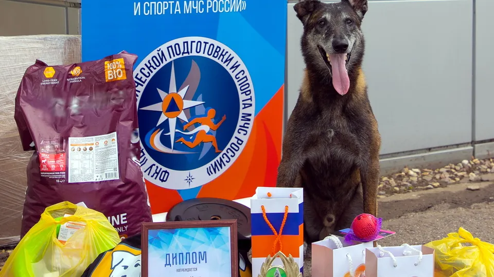 Фото: пресс-служба МЧС России
