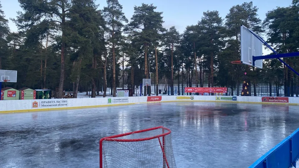 Фото: пресс-служба администрации г.о. Котельники