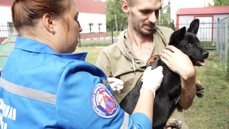 Фото: пресс-служба Администрации г.о. Егорьевск