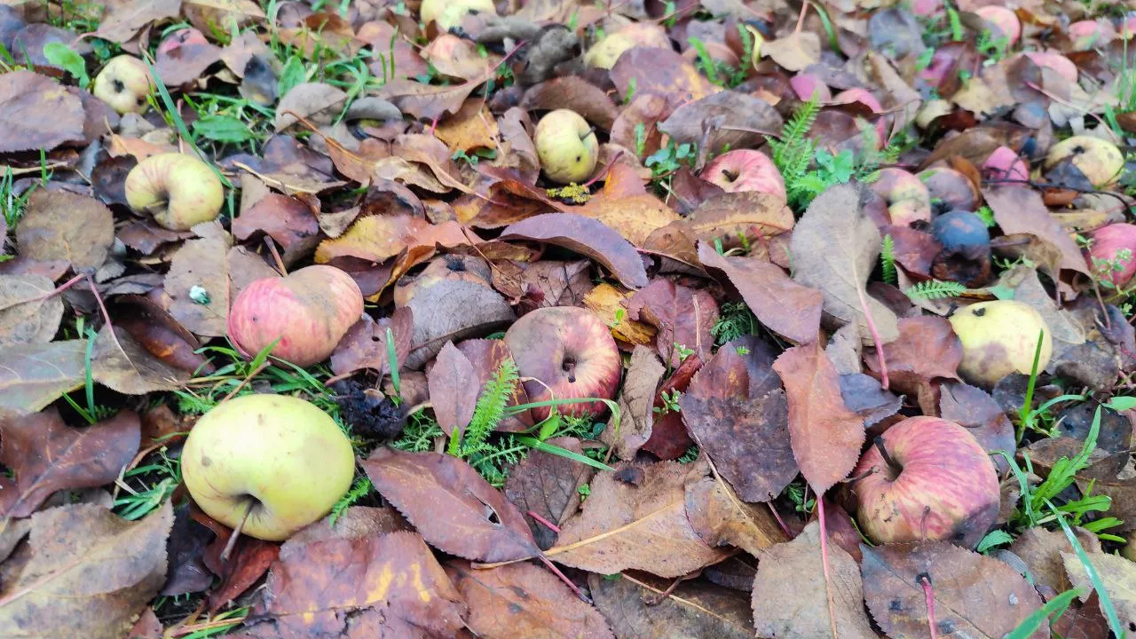 Фото: REGIONS/Елена Забелина