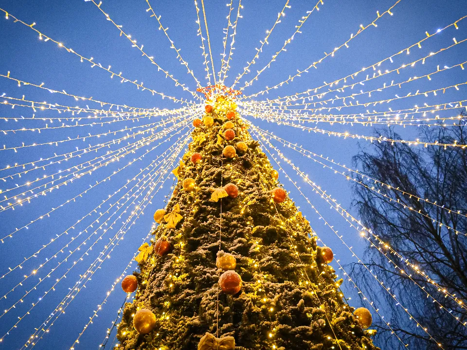 Фото: МедиаБанк Подмосковья/Данила Кирьянов&nbsp;