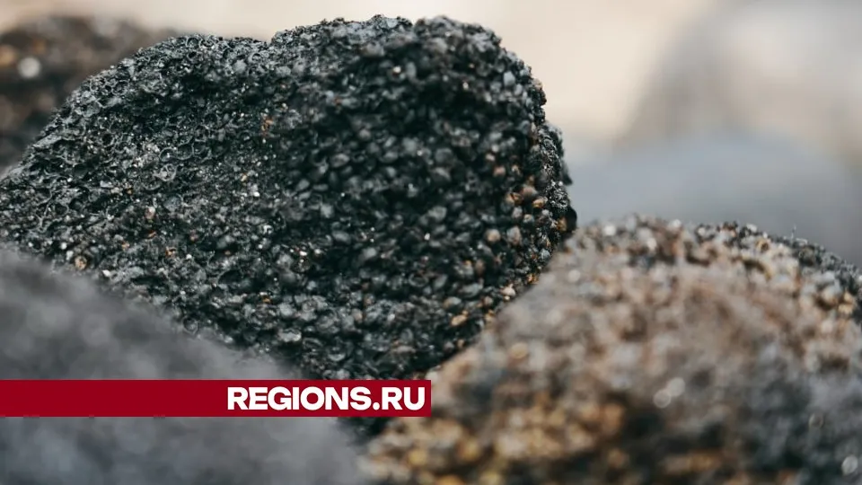 Фото: Дмитрий Зайчиков