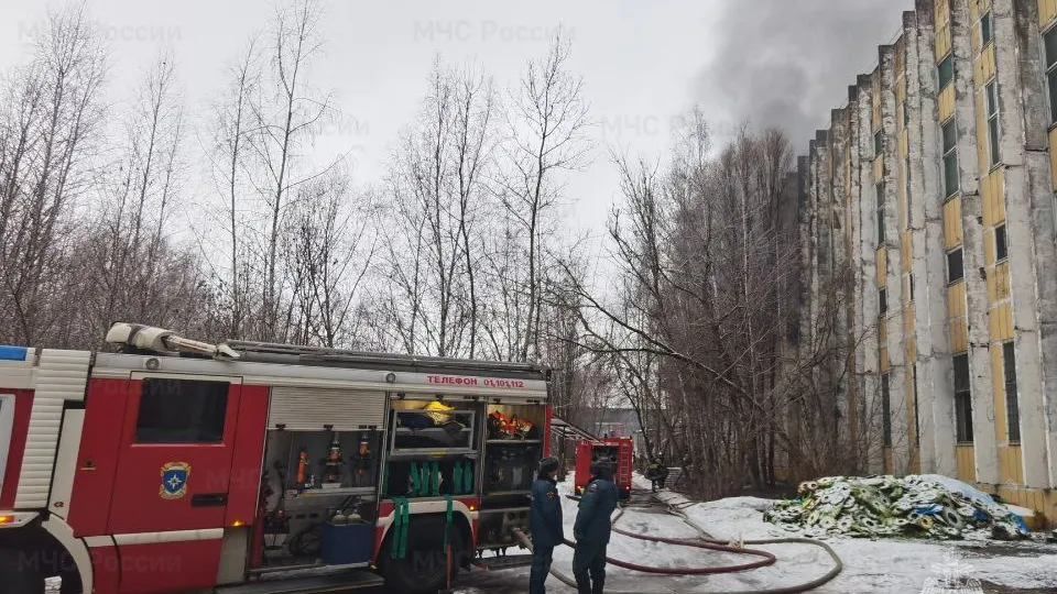 Фото: ГУ МЧС России по Московской области