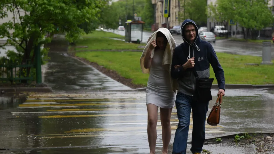 Фото: медиасток.рф