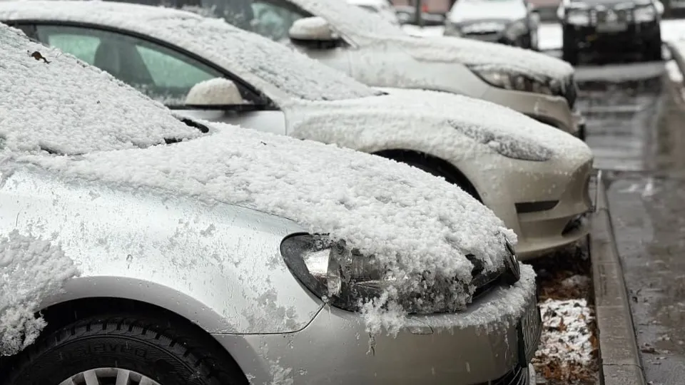 Фото: REGIONS/Крачун Полина