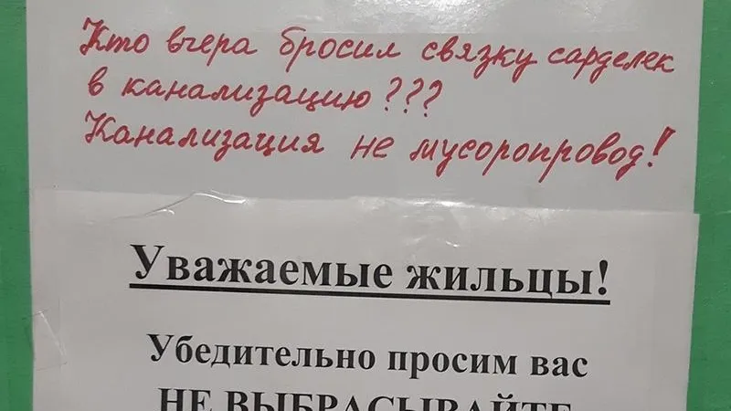 Ёж Старый/vk.com