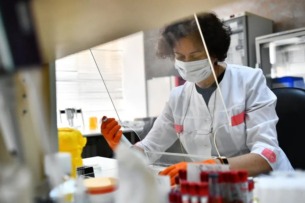 Исследование клеща в лаборатории