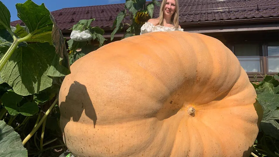 Фото: Екатерина Елисеева