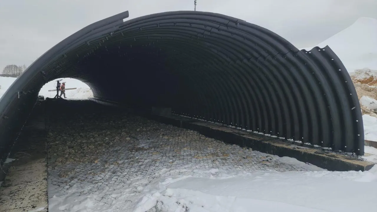 REGIONS/Кристина Ларина