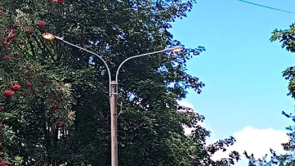 Фото: пресс-служба администрации г.о. Солнечногорск