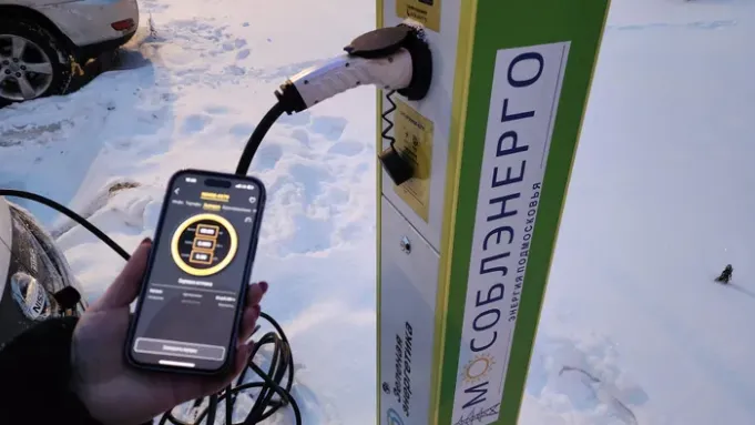 Фото: Валерия Тингаева