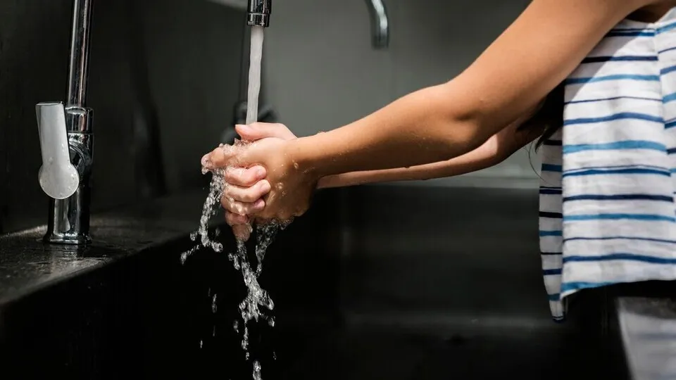 Фото: freepik.com