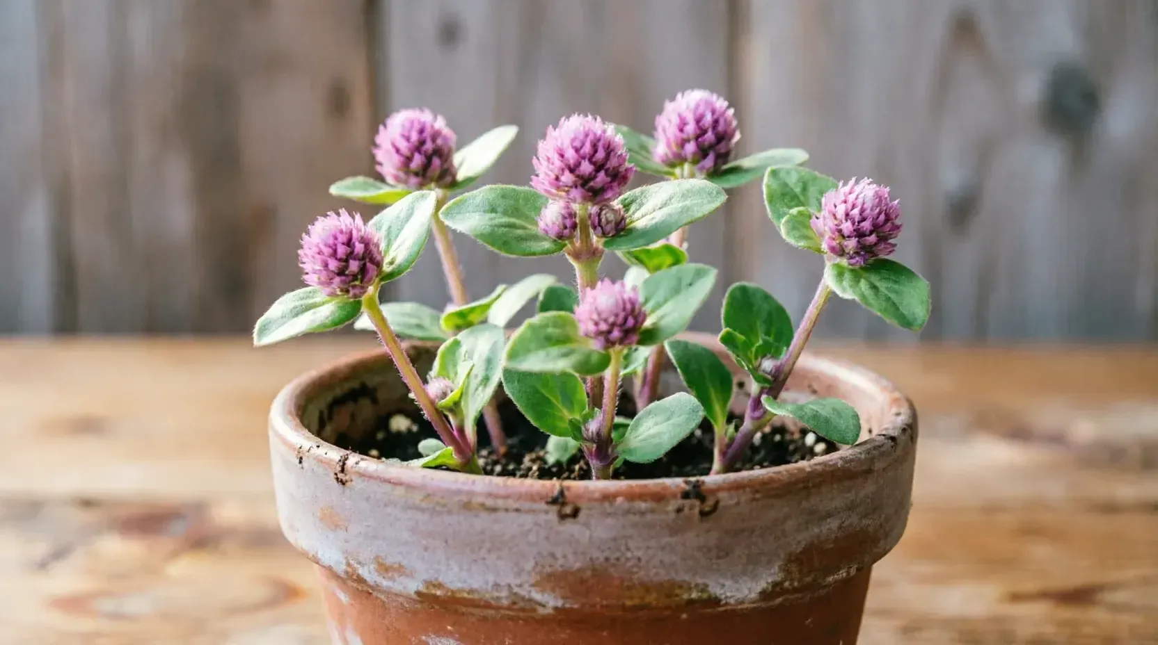 REGIONS/Сгенерировано нейросетью