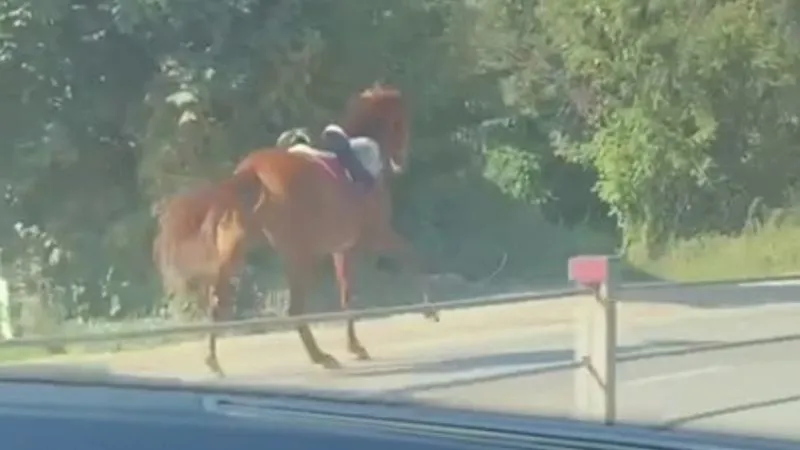 Фото: Телеграм-канал «Подмосква». https://t.me/podmoskow/12640