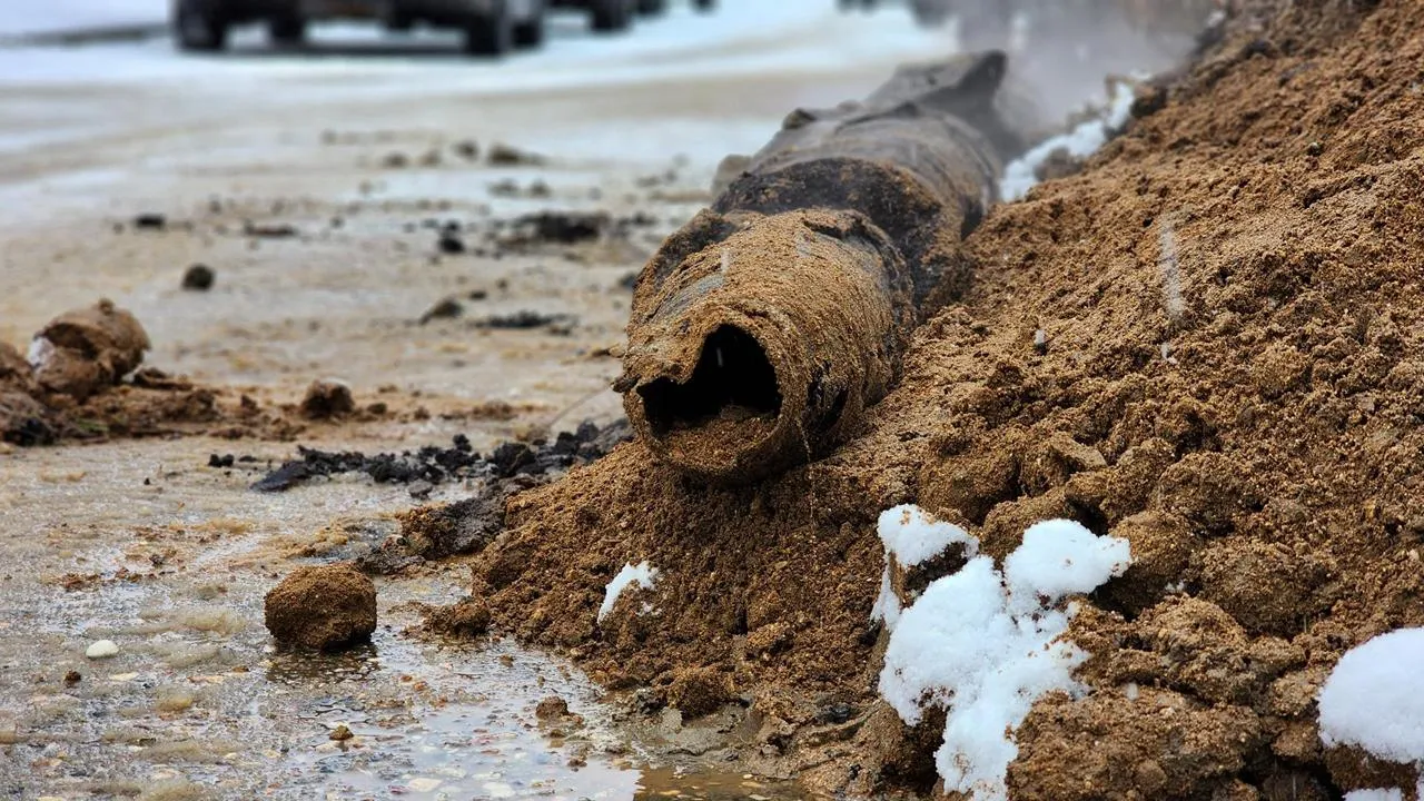МедиаБанк Подмосковья/Екатерина Данилина