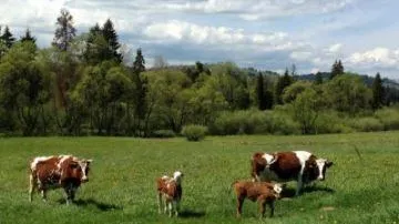 Пресс-служба Минсельхозпрод МО