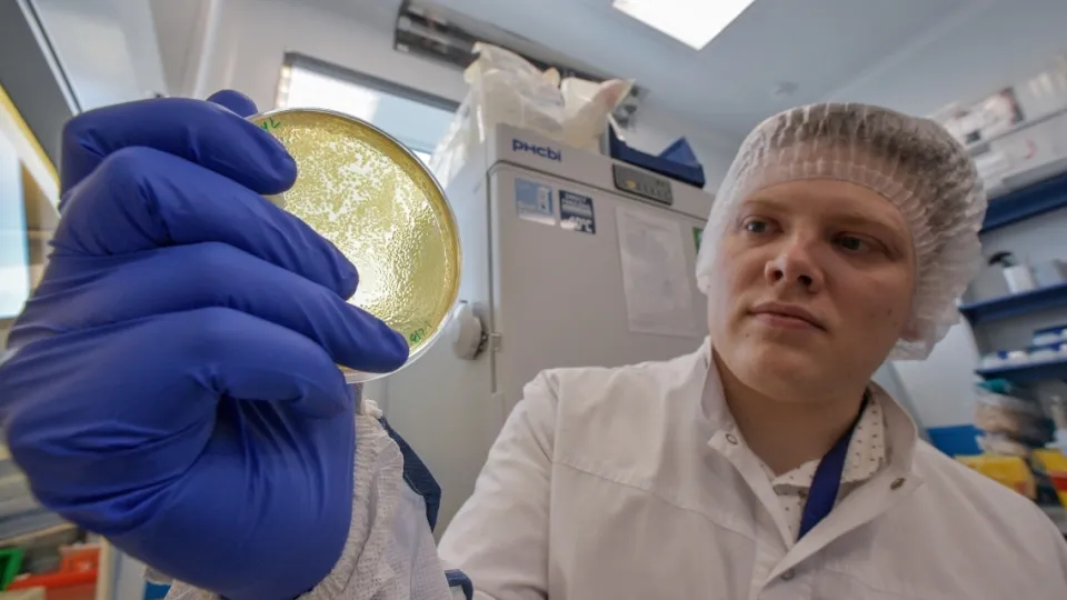 Фото: РИА Новости/Александр Гальперин