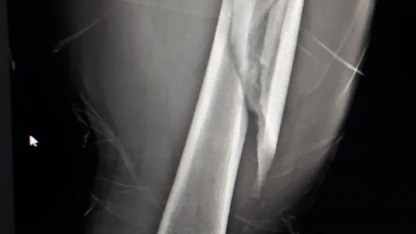 ГБУЗ МО "Можайская ЦРБ"