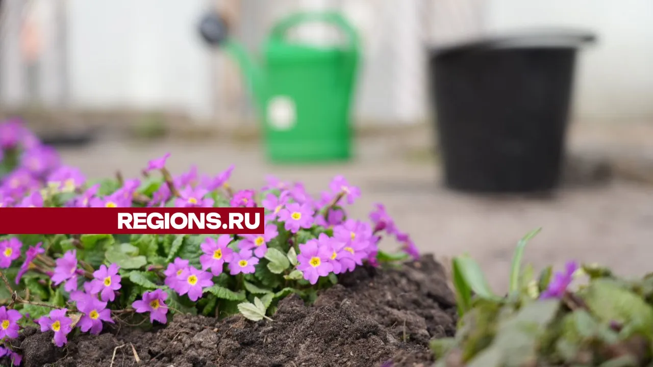 Фото: REGIONS/Дарья Леонова