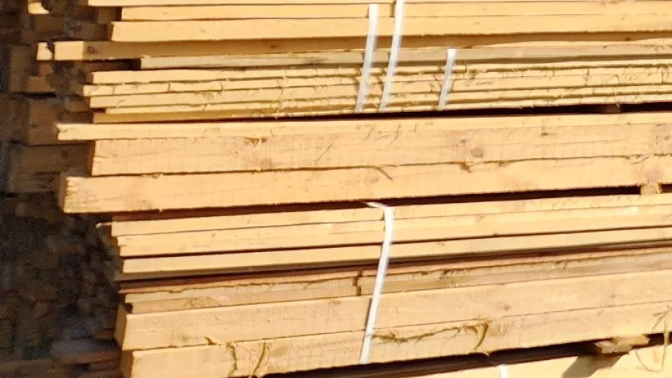 Фото: МедиаБанк Подмосковья/Дмитрий Беденко