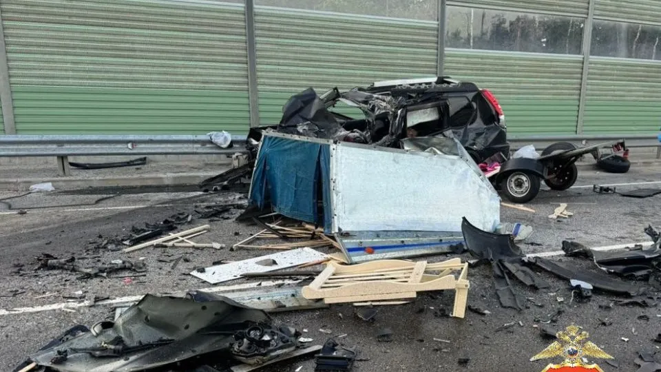 Фото: Подмосковная полиция