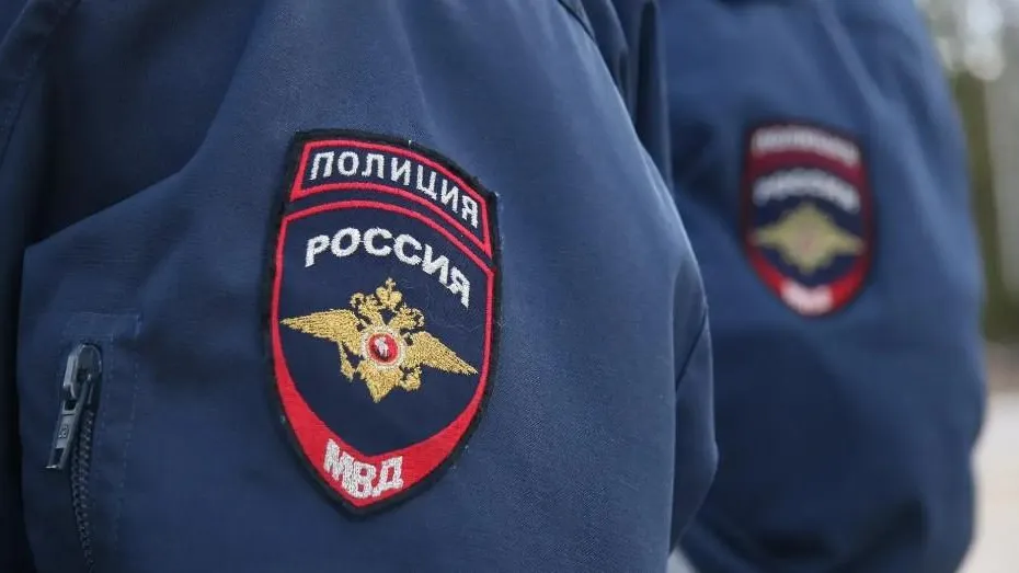 Артем Рязанцев/Фотобанк Московской области