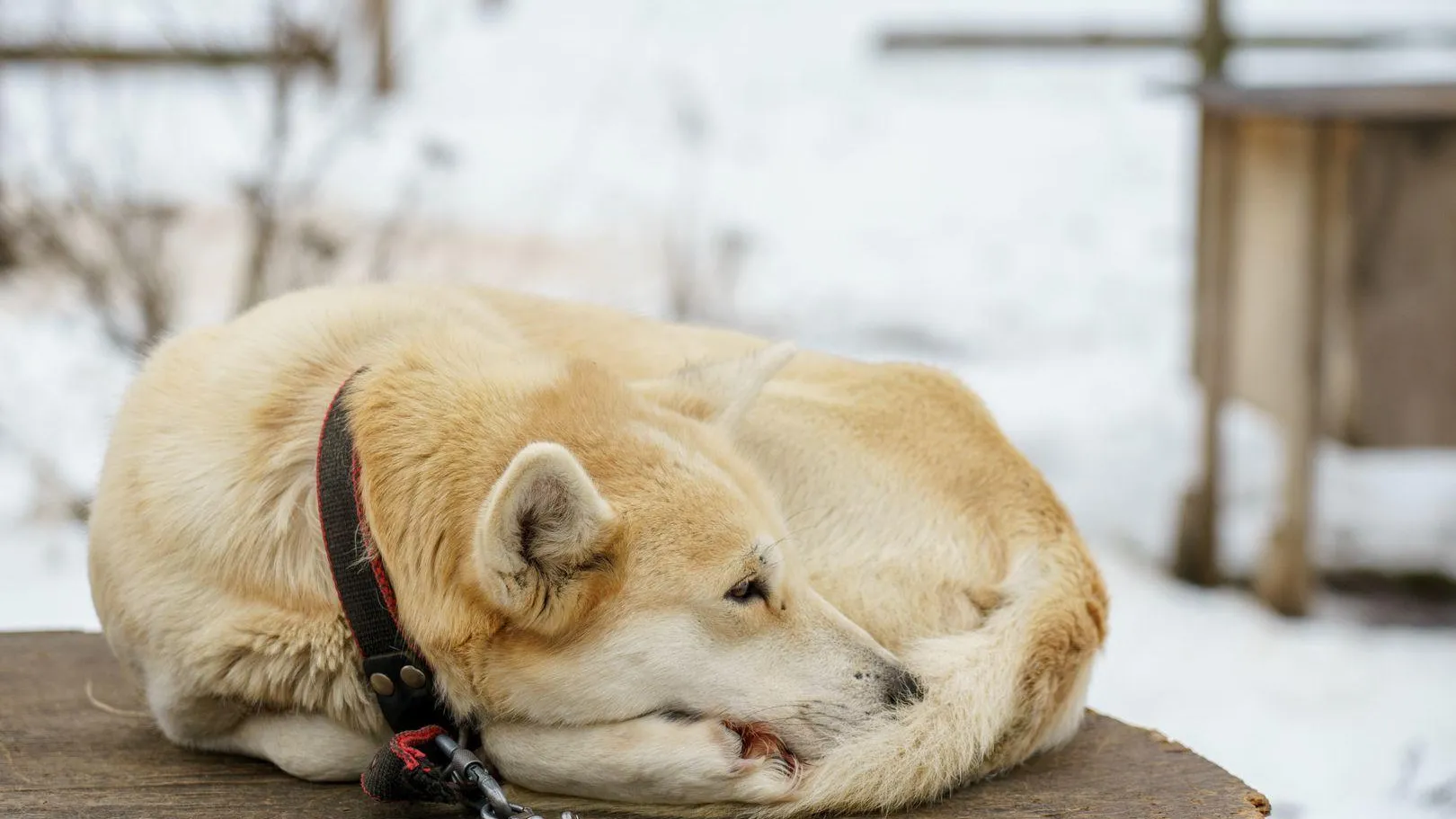 медиасток.рф