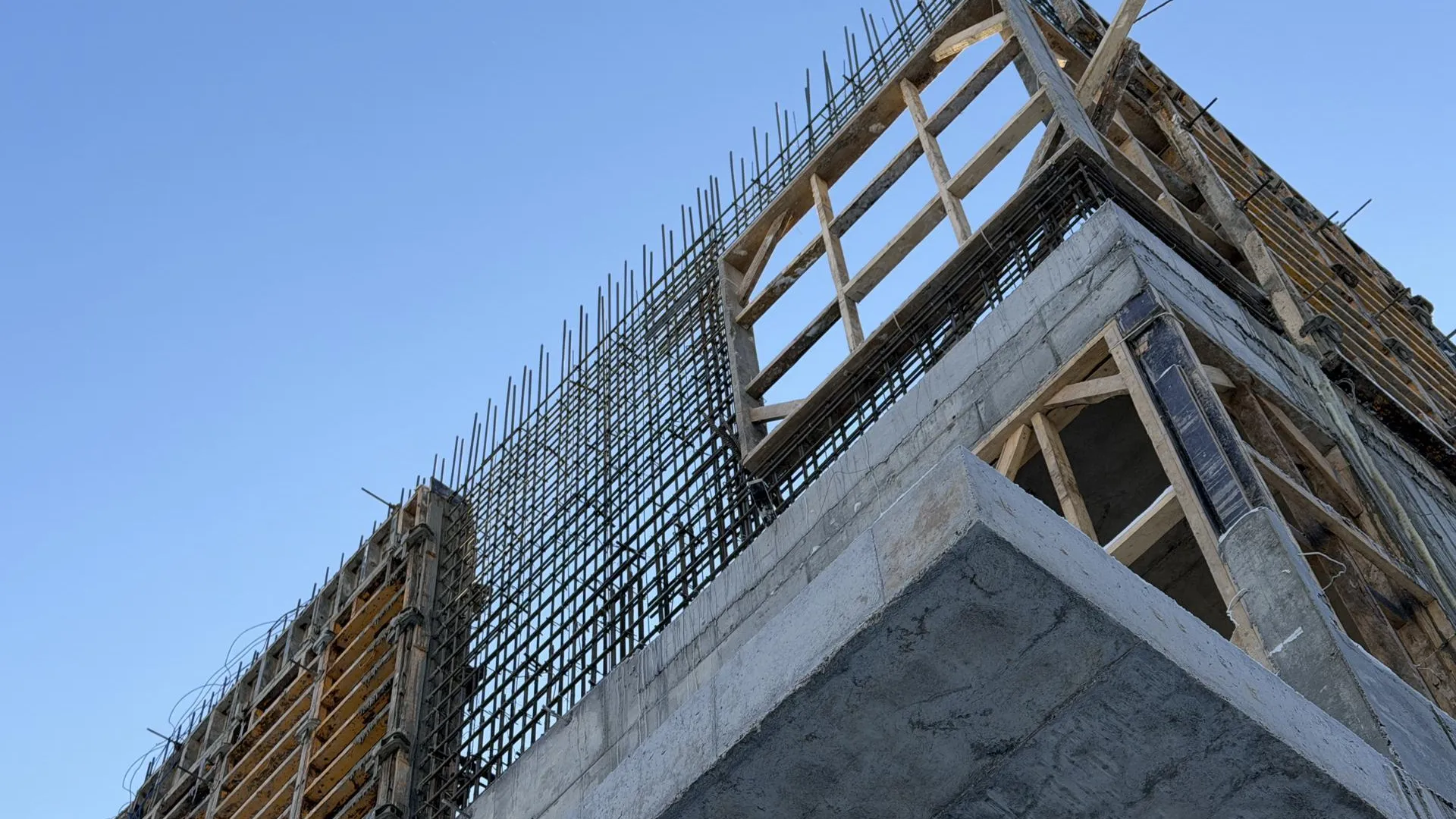 REGIONS/Мария Шматкова