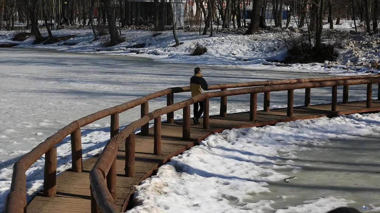 Медиаархив Подмосковья